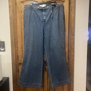 Lane Bryant Venezia Wide Leg Jean‎ Women's 26 Average Stretch